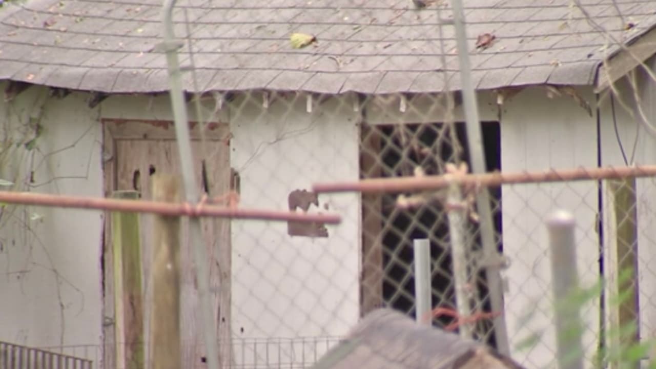 “Es injusto, la niña no tenía que pasar por esto, la tragedia se pudo evitar porque se sabía que la mamá tiene problemas y un historial irregular”, expresó una mujer que fue vecina de Melissa por algunos años.