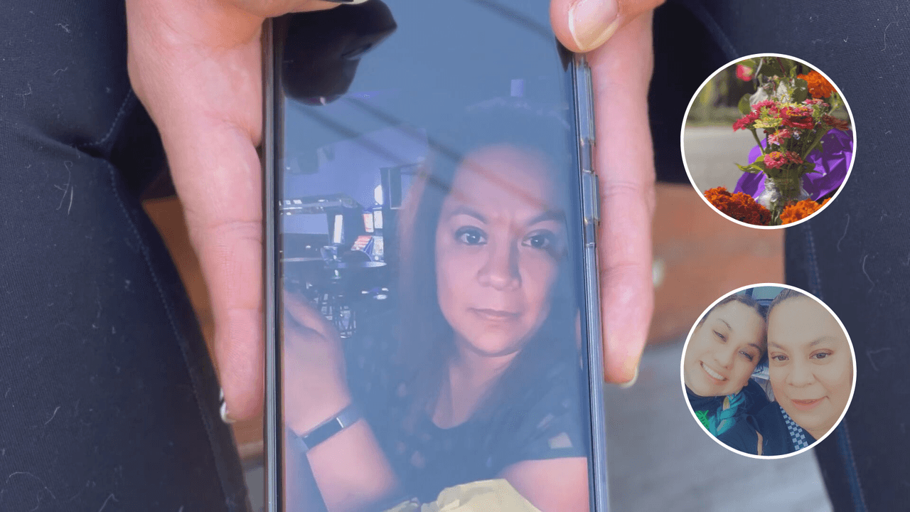 La balearon mientras estaba en su coche: Hablan familiares de madre hispana asesinada en Mckinley Park, Chicago