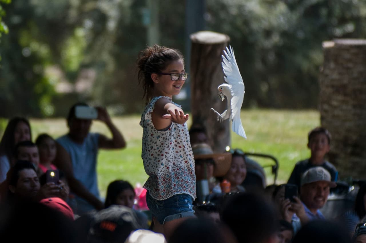 Un bello dia fue perfecto para las familias desde Bakersfield a Modesto.