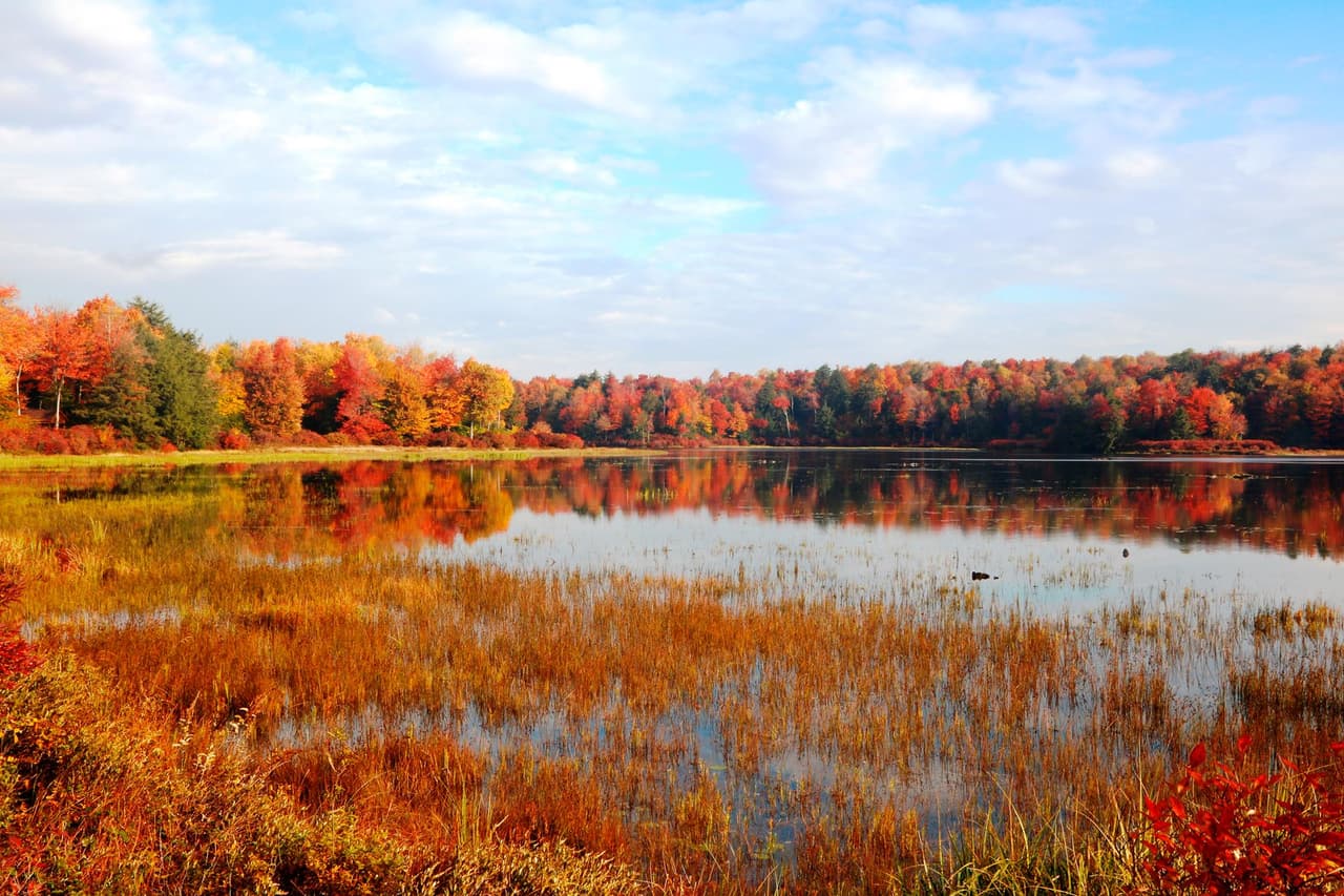 Así son los mejores senderos para visitar durante el otoño en Pensilvania 