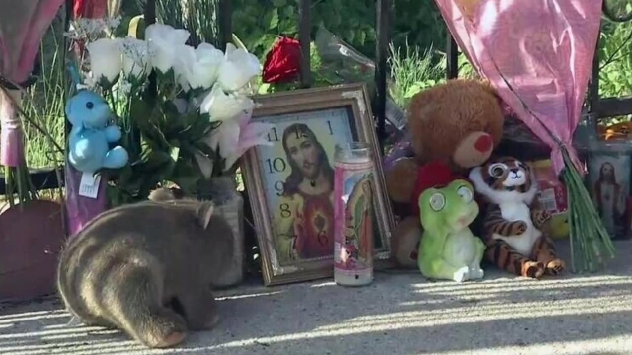 Identifican a niño de 4 años muerto en un incendio en West Humboldt Park. 