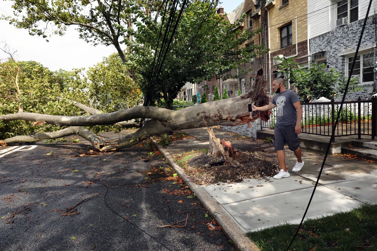 Con Edison ofrece reembolso por alimentos dañados durante apagones por la tormenta Isaías