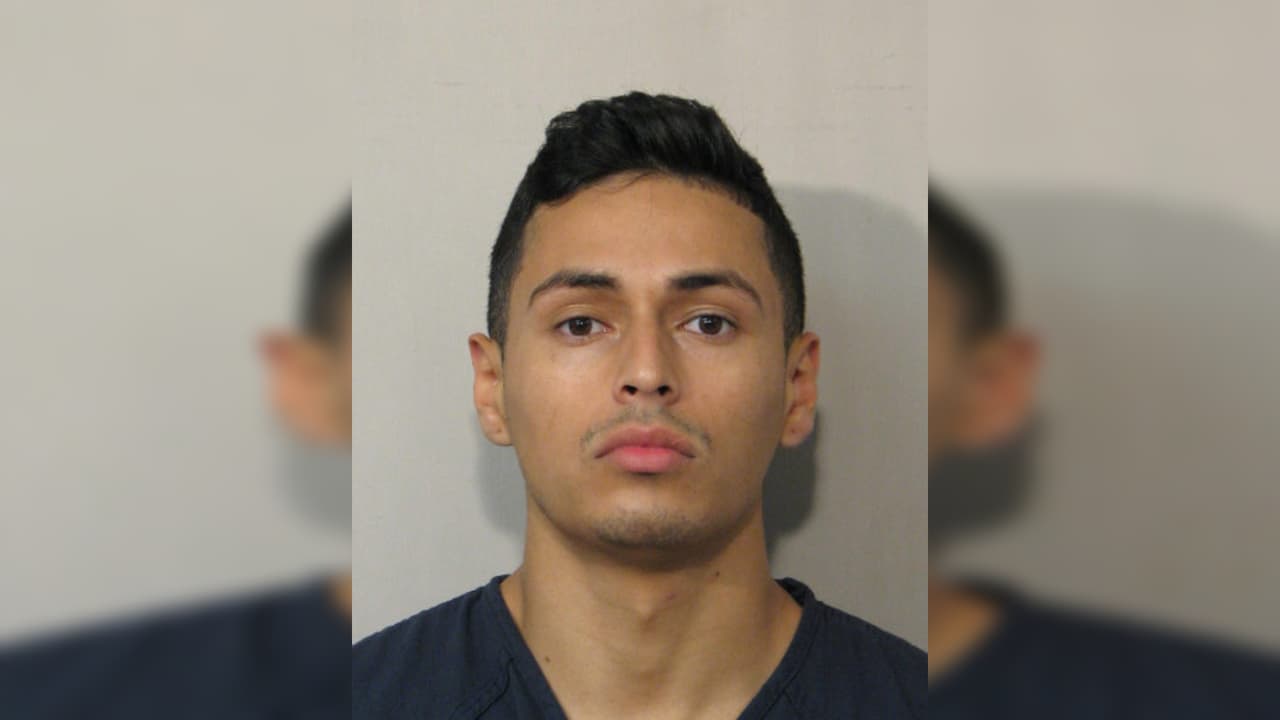 Un latino es arrestado tras intentar huir con un tigre de Bengala que fue captado en las calles de Houston