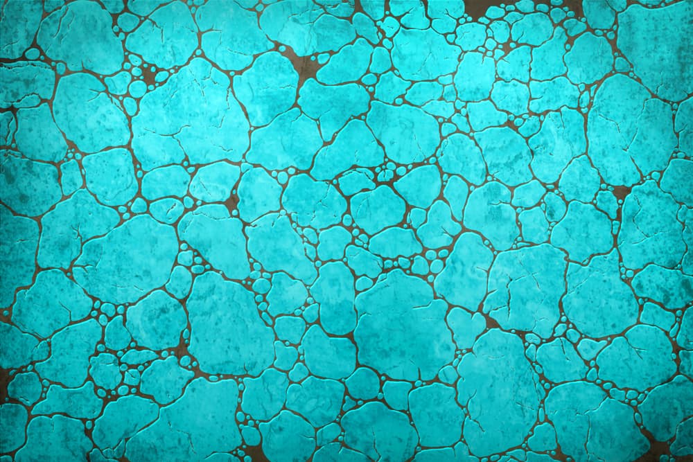 Color: Turquesa
<b>. </b>Día de la semana afortunado: el martes