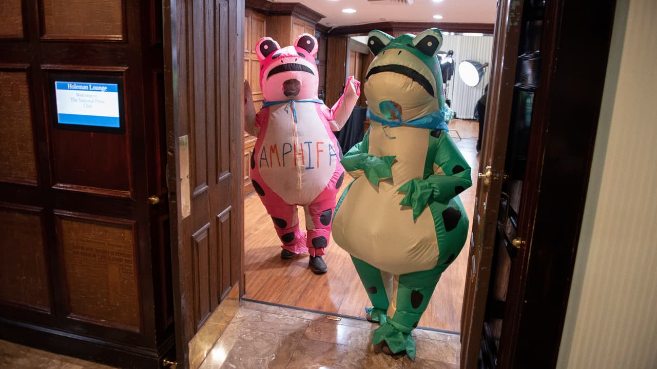 “Estado del Pantano”, la protesta de las ranas de Portland en DC antes del Estado de la Unión