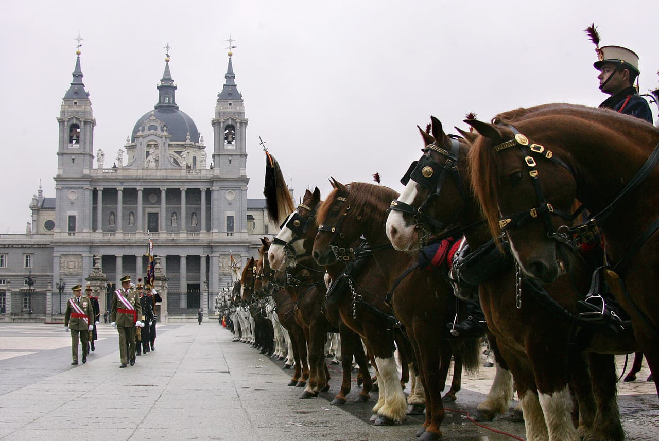 La realeza sigue viviendo en todo el mundo. Habitan castillos y palacios con detalles magníficos, pasadizos secretos y jardínes increíbles. ¡Aquí es donde viven princesas y reyes!