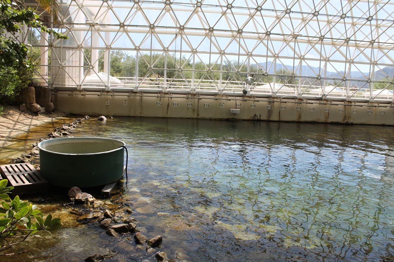 Un océano está recreado dentro de la biosfera donde realizan diferentes experimientos