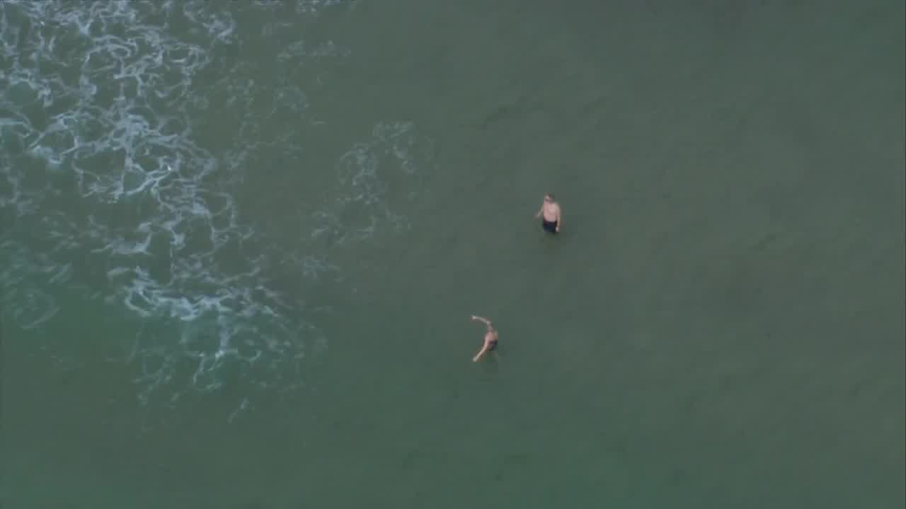 Tiburón ataca a un niño en una playa de Fort Lauderdale
