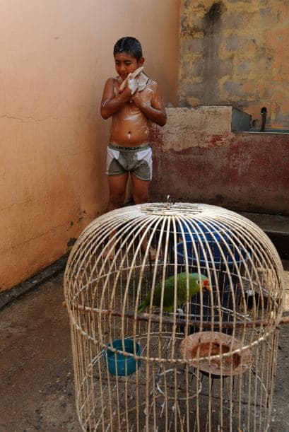 Por la escasez del vital líquido, no solo la gente ha sufrido las consecuencias.