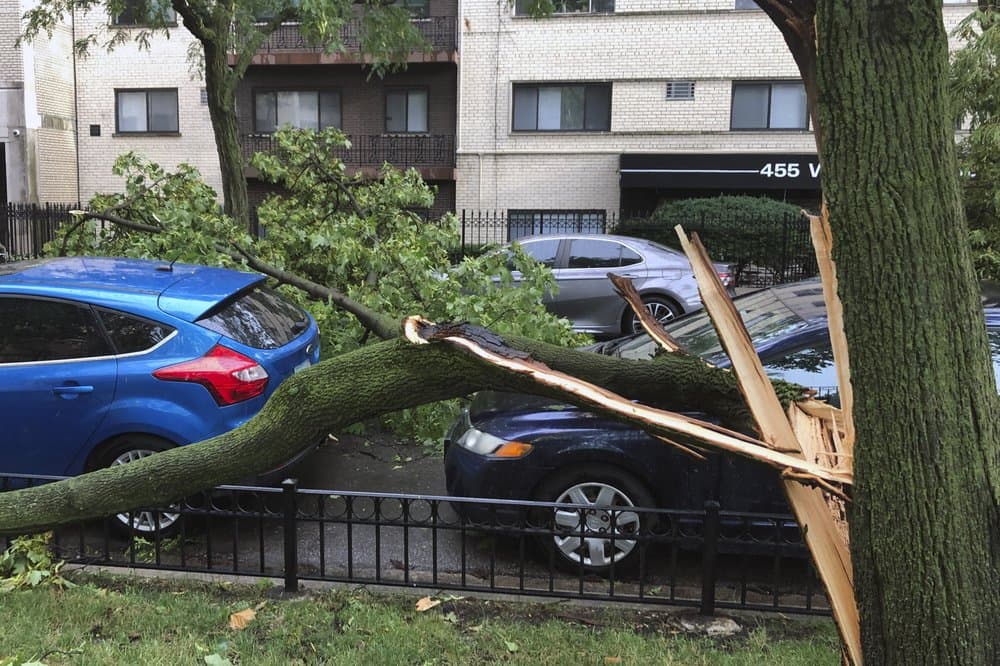 Árboles caídos y rotos en el vecindario de Lakeview, en Chicago. La tormenta arrojó vientos de hasta 100 millas por hora. "Esta es nuestra versión de un huracán", dijo el profesor de meteorología de la Universidad de Illinois del Norte, Victor Gensini. Dijo que este 'derecho' será uno de los más fuertes en la historia reciente y uno de los peores eventos climáticos de la nación en el 2020.