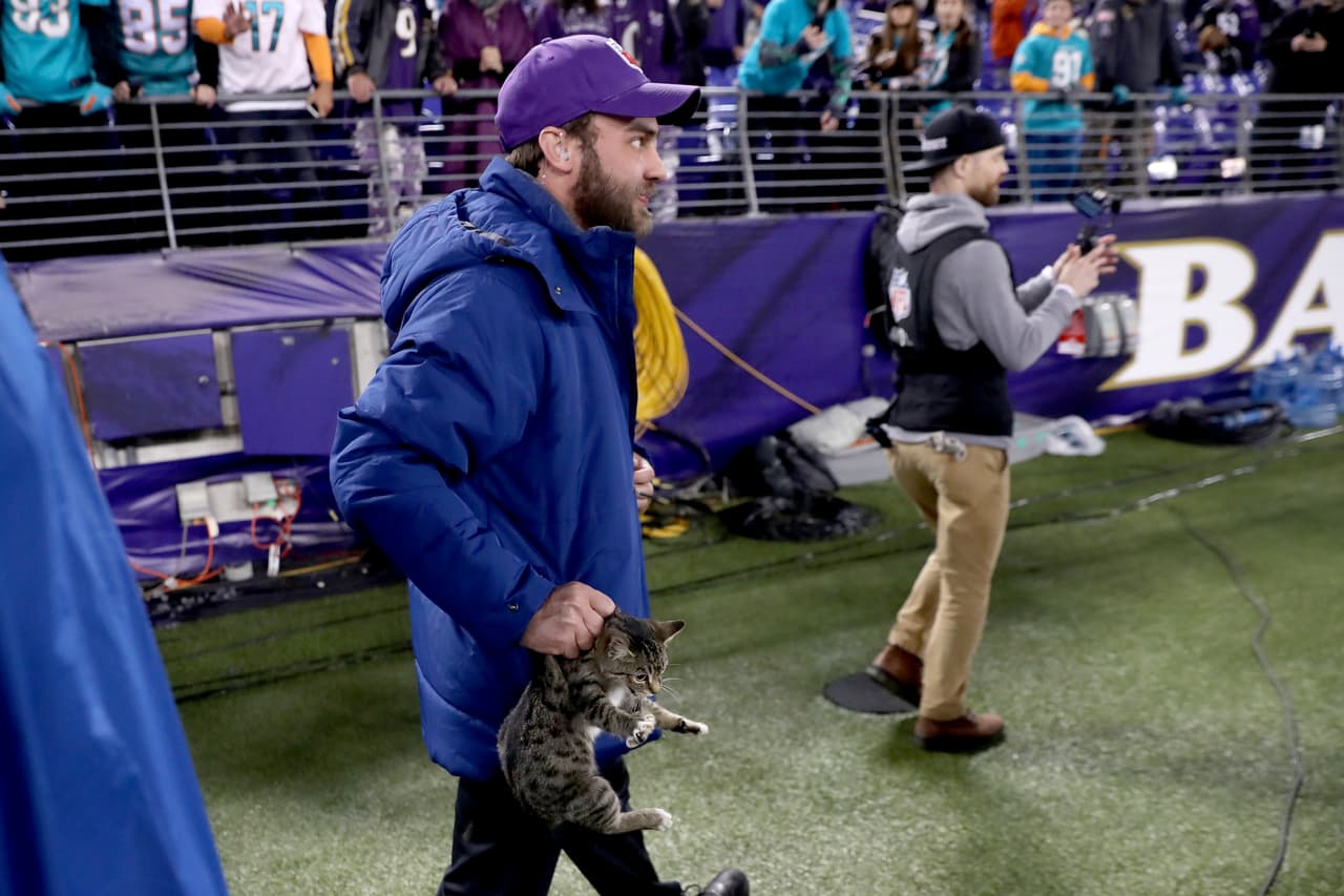 El intruso sorpresa fue detenido y con eso la normalidad del juego, a pesar del dominio de Ravens, siguió su rumbo.