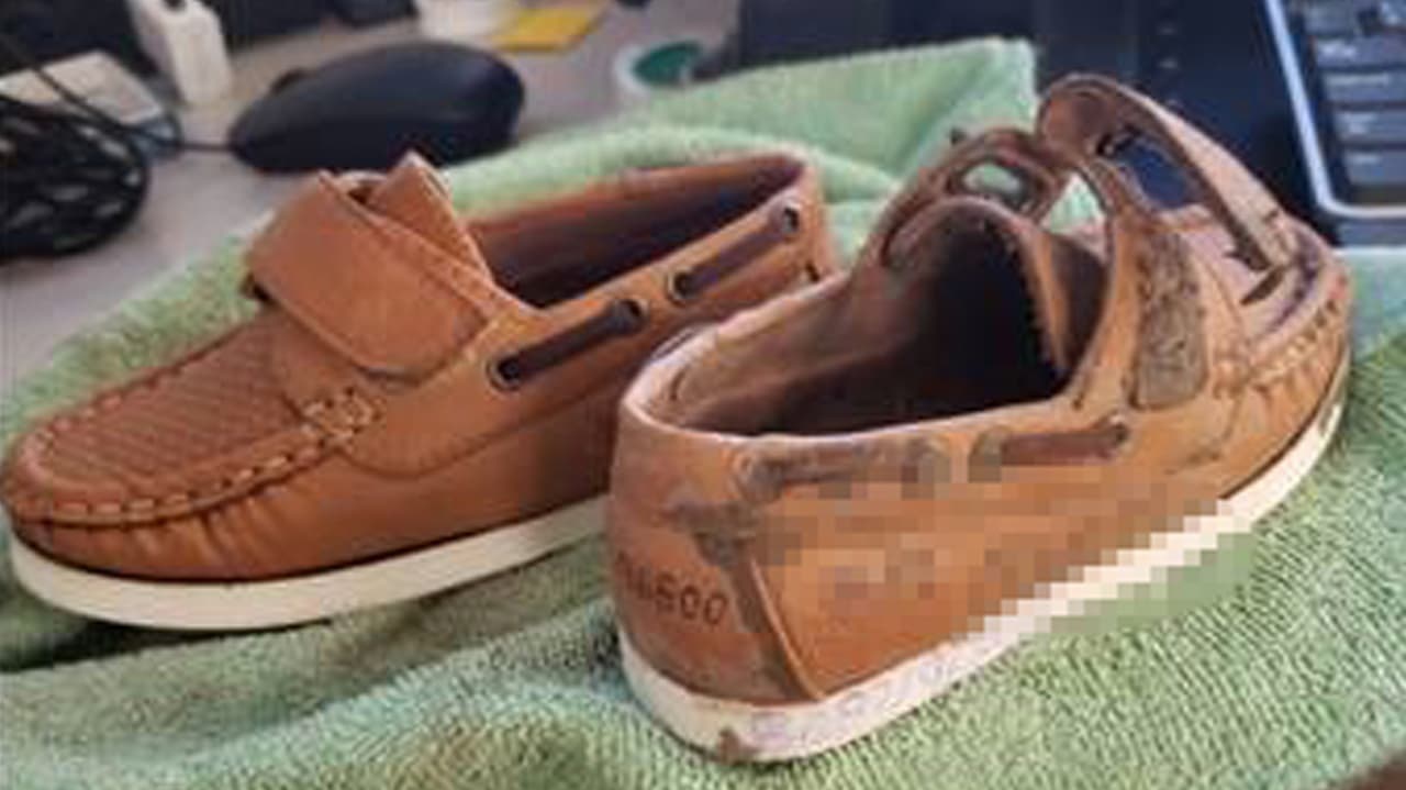 Un niño de 3 años fue hallado solo en un maizal y tenía su nombre y teléfonos escritos en los zapatos.