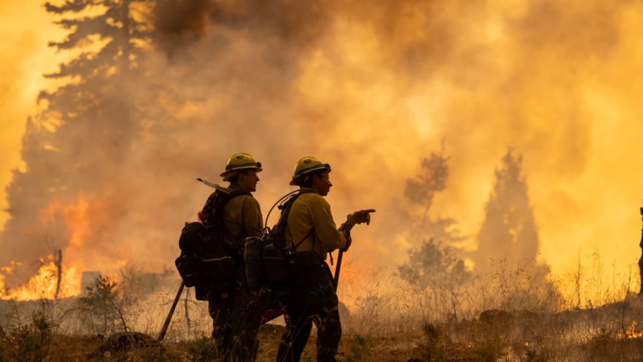 Incendios forestales: ¿cómo surgen los nombres que se les dan?