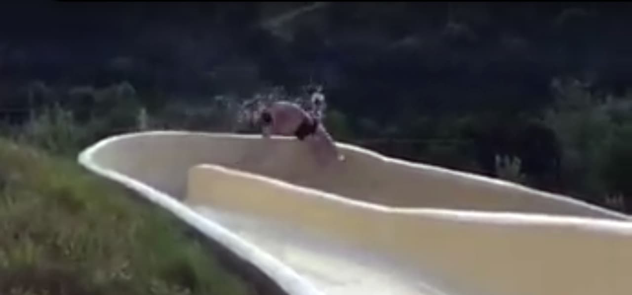 Captado en video: hombre cayó de un tobogán acuático en Texas y sobrevivió