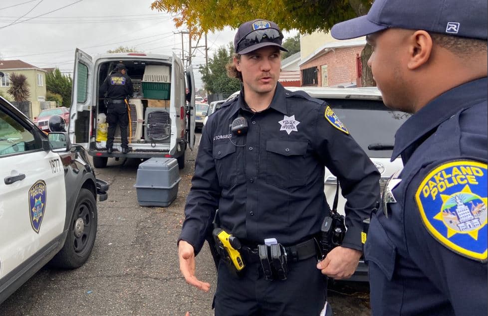 La catástrofe canina comenzó alrededor de las 10:00 pm del domingo por la noche, cuando Julie Bingham, propietaria de la compañía de transporte de mascotas, dijo a la Policía que estacionó la camioneta en el estacionamiento del hotel Extended Stay American en Fremont. 
<br>
<br>