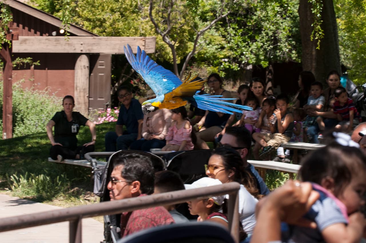 Un bello dia fue perfecto para las familias desde Bakersfield a Modesto.