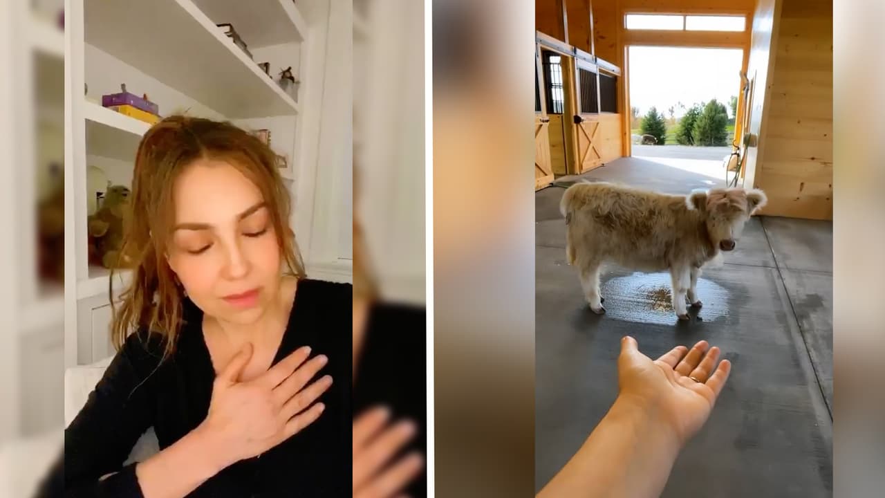 Thalía nos reveló que tiene vacas como mascotas, al conmovernos con la triste historia de Clementina, que perdió a su compañerito.