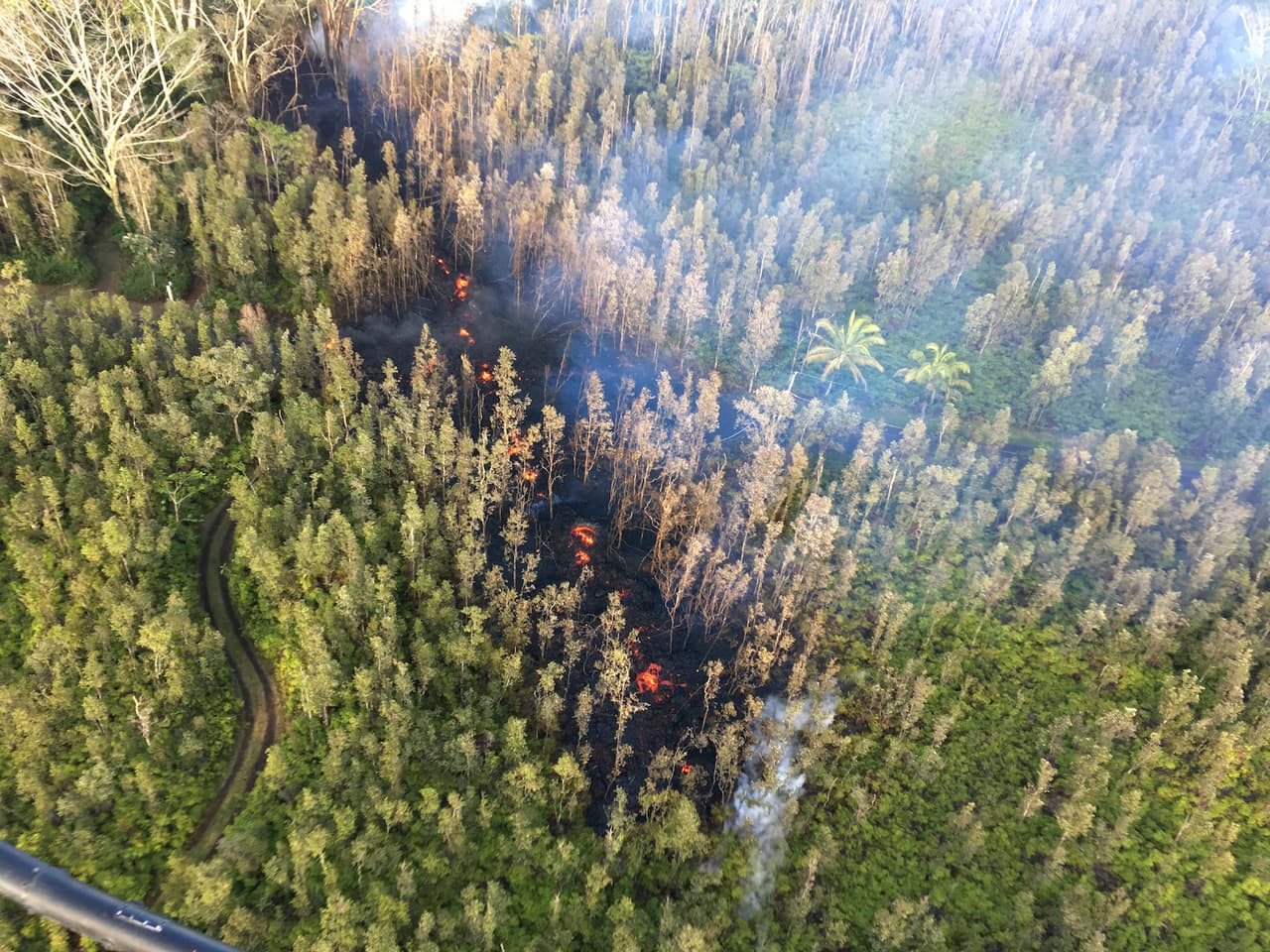 Medios locales mostraron imágenes de los ríos de lava que serpenteaban a través de los bosques.