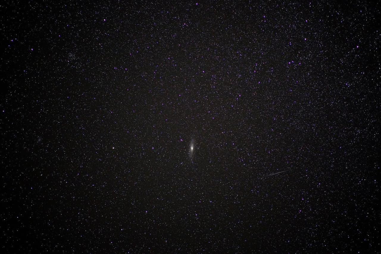 Este febrero presenta un día 29 adicional porque 2020 es un año bisiesto. Los años bisiestos son una vez cada cuatro años, ya que la Tierra tarda 365,25 días en orbitar el sol.