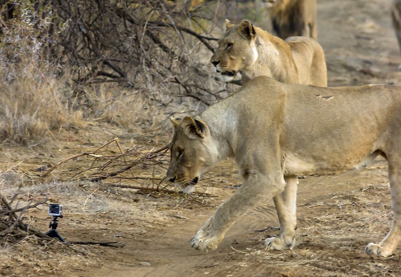 Una de sus técnicas es colocar cámaras ocultas para de esta manera obtener muchos ángulos.