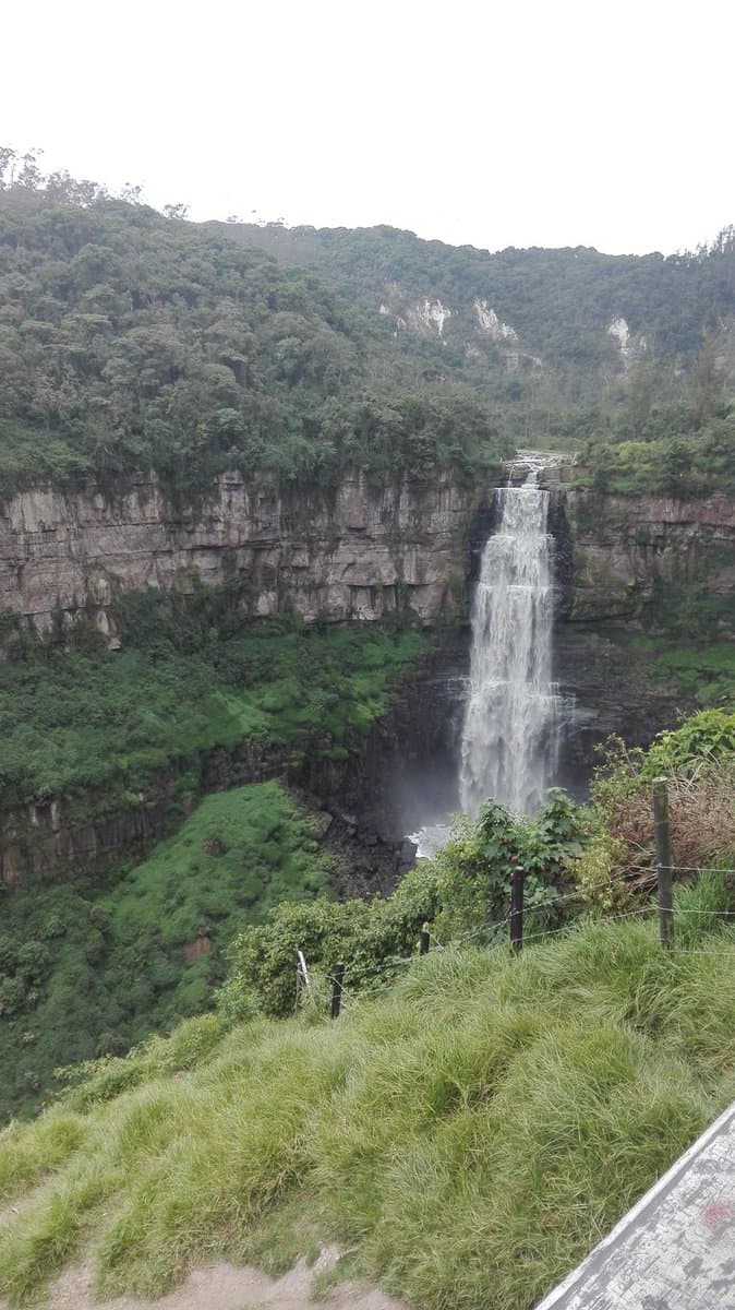 Como el lugar es de difícil acceso y tiene un pequeño estacionamiento, hay tours especiales que llegan desde Bogotá, con cientos de turistas que llegan a descubrir la tragedia detrás del lugar - y hasta ver si escuchan o ven por ahí algún "fantasma".