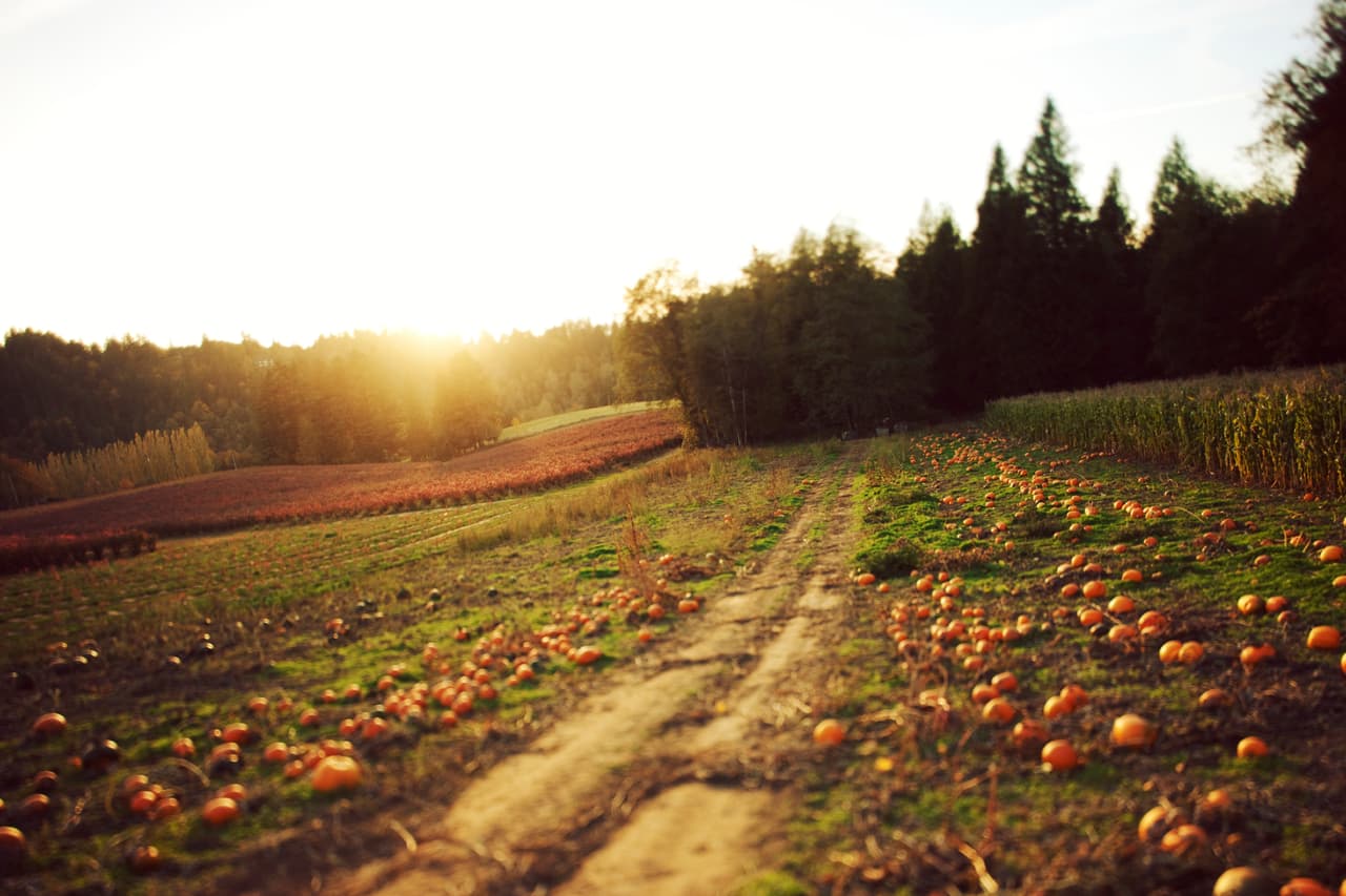 Se usaban para alumbrar el camino y que los peregrinos no se perdieran.
