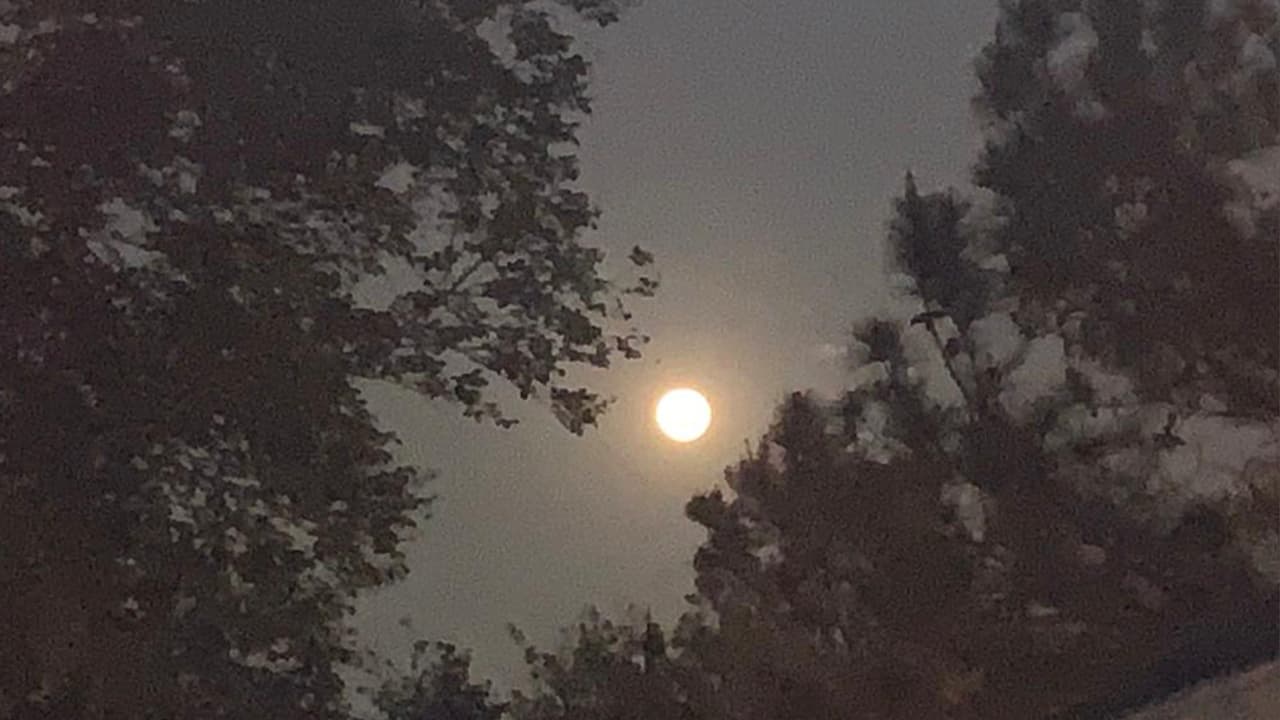 Muchos de los seguidores de Univision45 nos enviaron sus fotos como Samantha desde Katy, Texas.