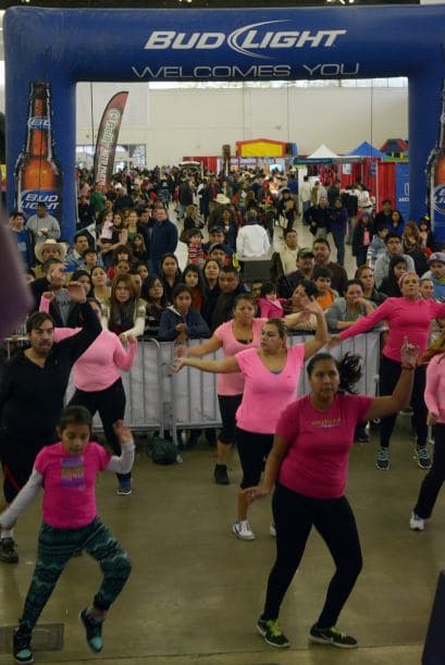 Festival Univision 2014