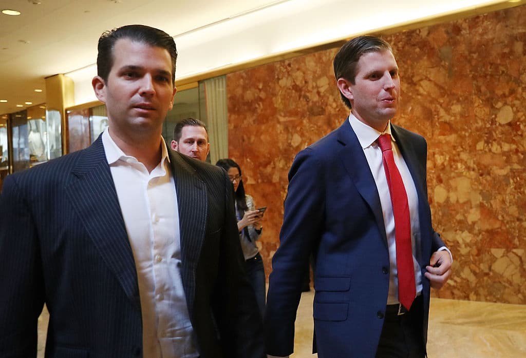 Donald y Eric Trump aparecen en la directiva de la fundación, pese a que la Organización Trump negó que hayan participado en la iniciativa.