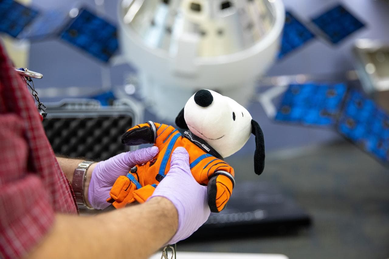 Snoopy fue el indicador de gravedad cero el interior de la cápsula Orion que orbitó la Luna a finales de 2022.
<br>