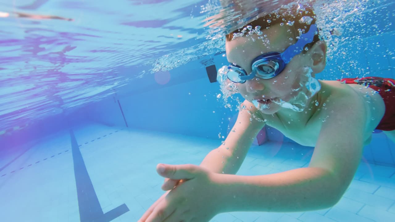 ¿Agobiado por el calor? Si vas a la piscina ten cuidado con crypto, un parásito que infecta el agua clorada y causa fuertes diarreas