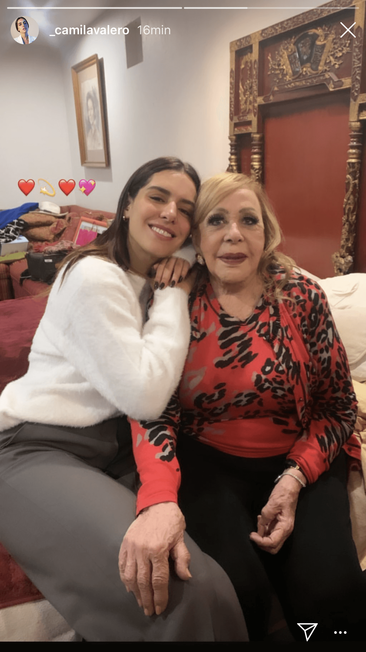La otra hija de Stephanie Salas, Camila Valero, también compartió en sus historias de Instagram esta imagen al lado de Silvia Pinal.
