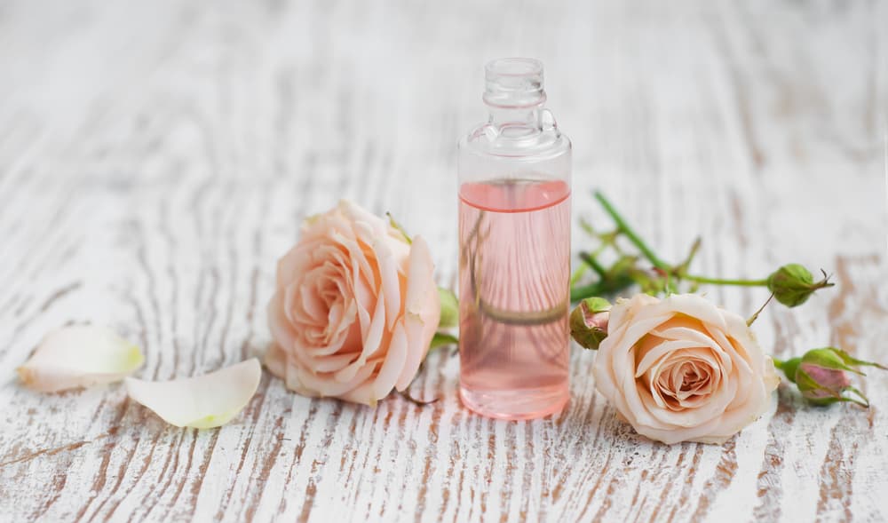 La rosa con su dulce perfume, sea en el jardín, en un florero o en forma de esencia en tu ropa, será el mejor amuleto viviente para tu hogar y para tu vida. La energía fluirá sin obstáculos.