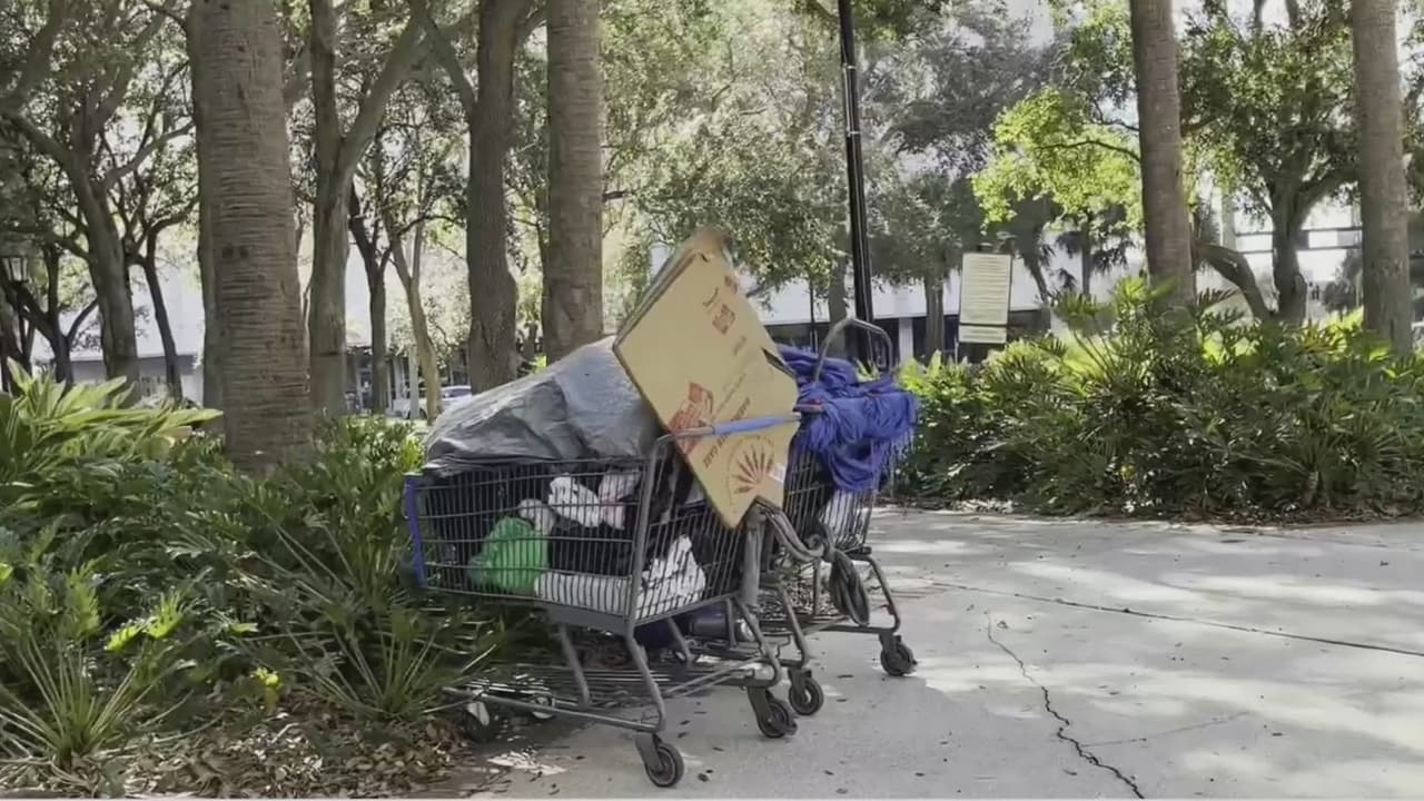 Autoridades preocupadas ante aumento de cifra de niños sin hogar en varios condados de Florida