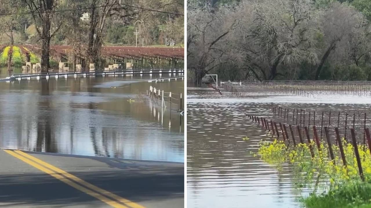 Fotos impactantes de la tormenta en California: inundaciones y caídas de árboles causan estragos