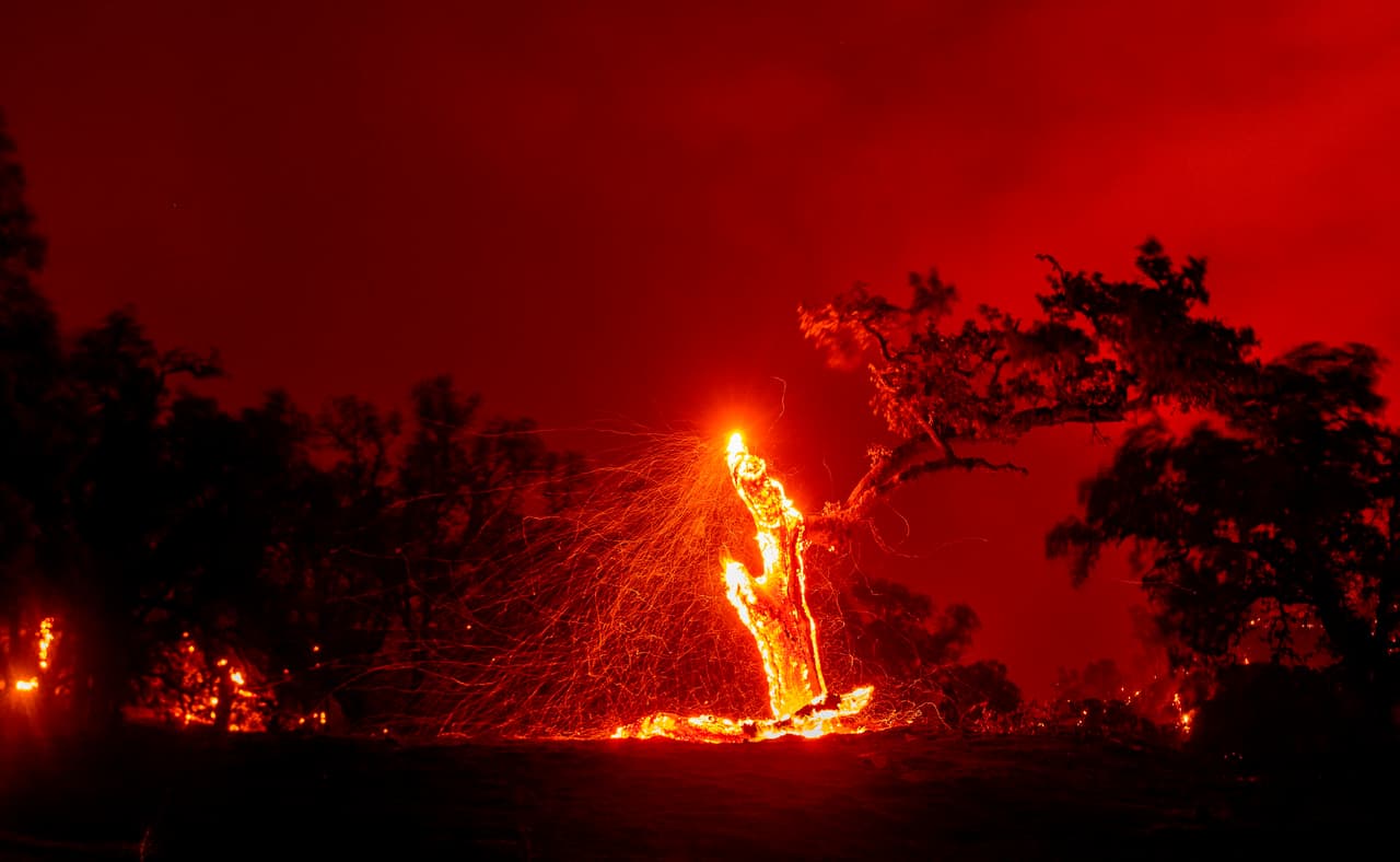 En esta fotografía de larga exposición, las brasas vuelan de un árbol en llamas durante el incendio de Hennessey en Napa.