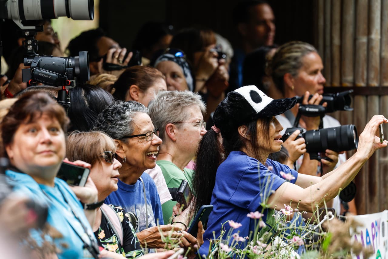 Conciertos, festivales y más: Qué hacer el fin de semana de Labor Day en el DMV