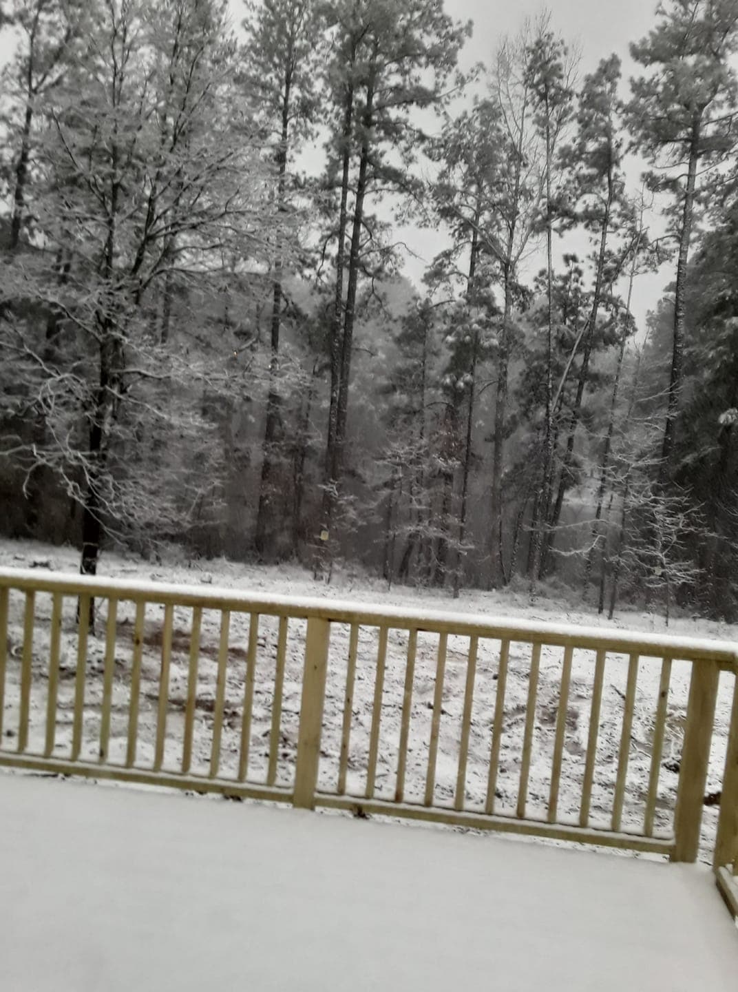 Las condiciones comenzaron a deteriorarse a partir de la 1 p.m. del jueves. Localidades como Raleigh, Durham, Sanford y Asheboro registraron entre 1 y 3 pulgas de nieve.