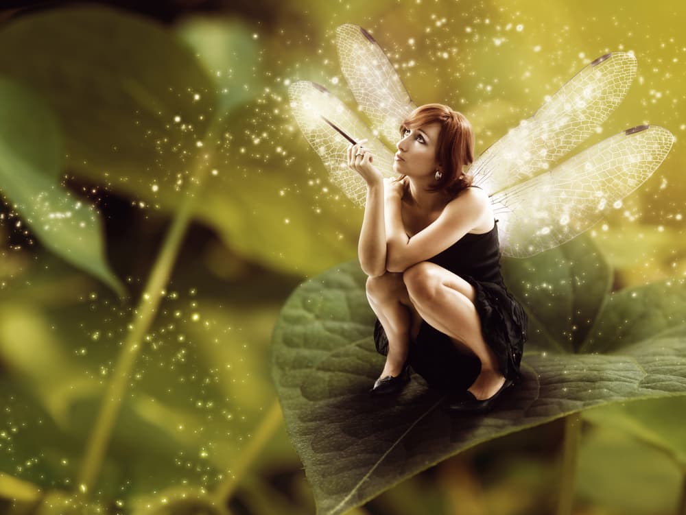 <b>4. HADAS</b>
<br>Otras criaturas presentes en relatos fantásticos desde hace miles de años, presentes hasta en las culturas griegas y romanas, son las hadas, usualmente representadas como bellas y jóvenes mujeres con alas de mariposa, protectoras de la naturaleza.