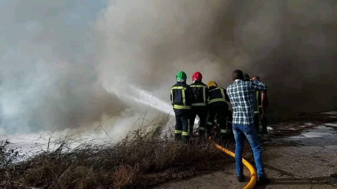 Un tercer animal se escapó, según dijo uno de los bomberos.