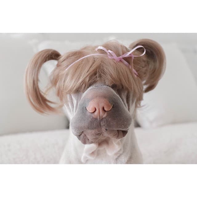 Qué bonito y sedoso cabello, señorita.