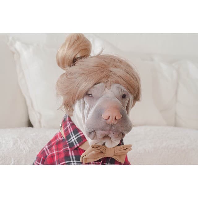 La vecina vino hoy a pedirte una tacita de azúcar.