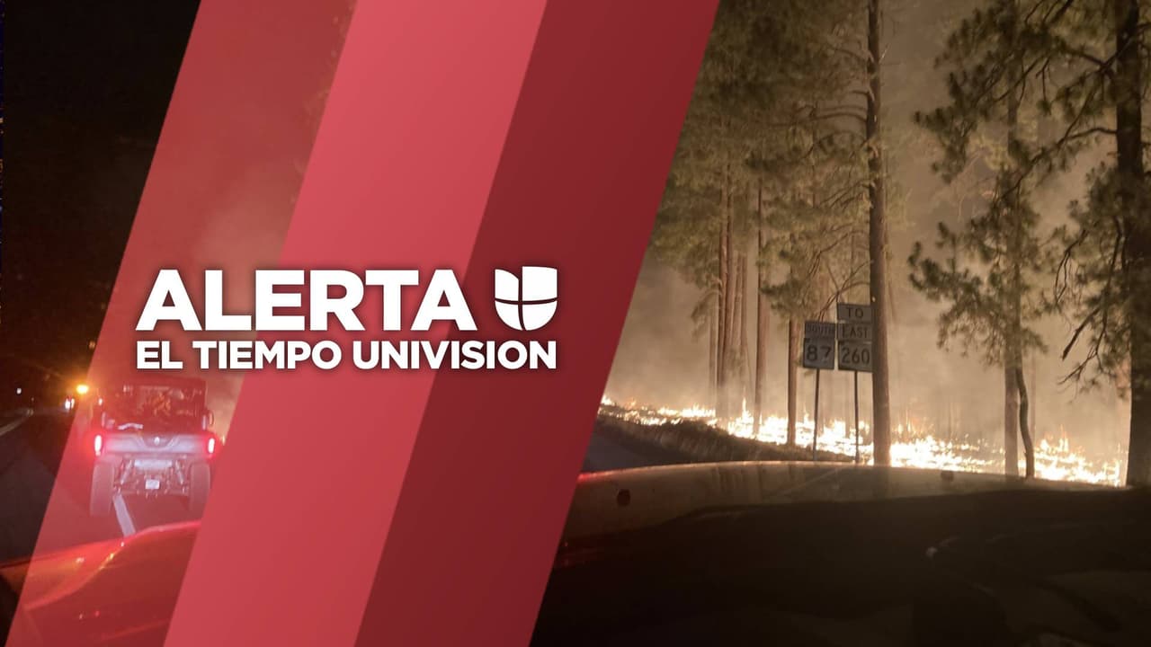 Arden más de 20 incendios forestales en Arizona este martes