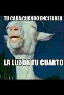 Hace memes... ¡y le pagan por ello!