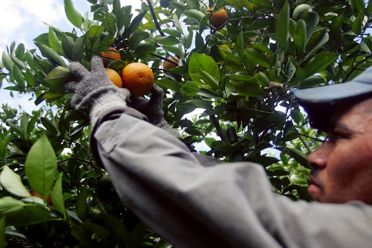 Haitianos ya no serán elegibles para las visas H-2A y H-2B en 2018, según aviso de DHS