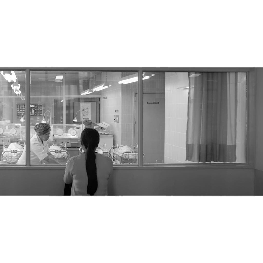 Cabe señalar que 'Roma' acumula 15 nominaciones a este premio que se entrega desde 1947.