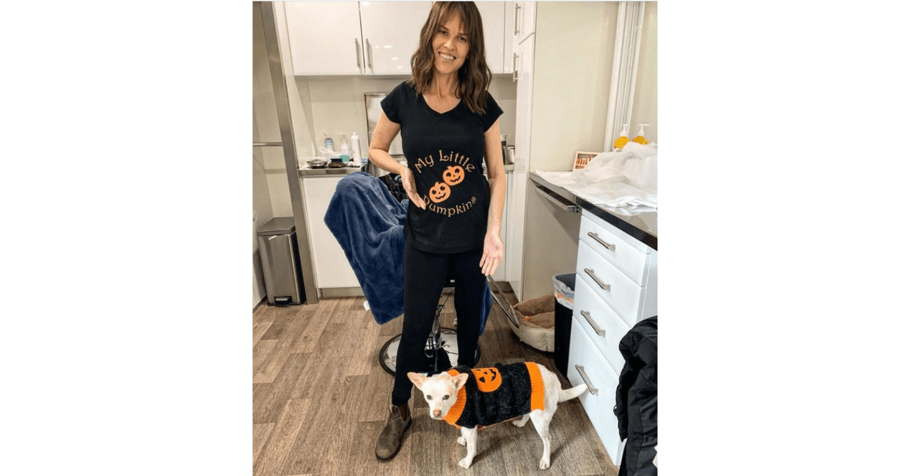 Hilary Swank embarazada