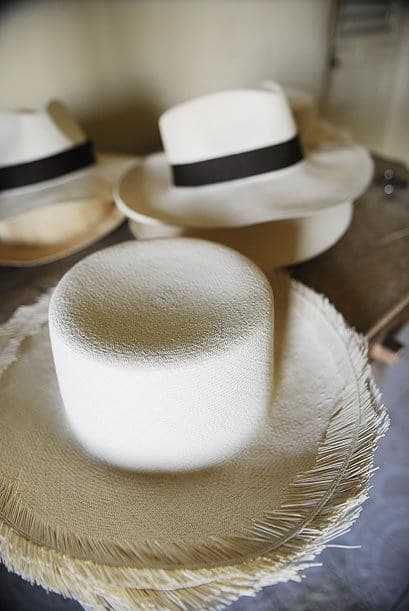 Para llegar a formar un lindo sombrero, esta paja primero debe cocinarse para formar la fibra.