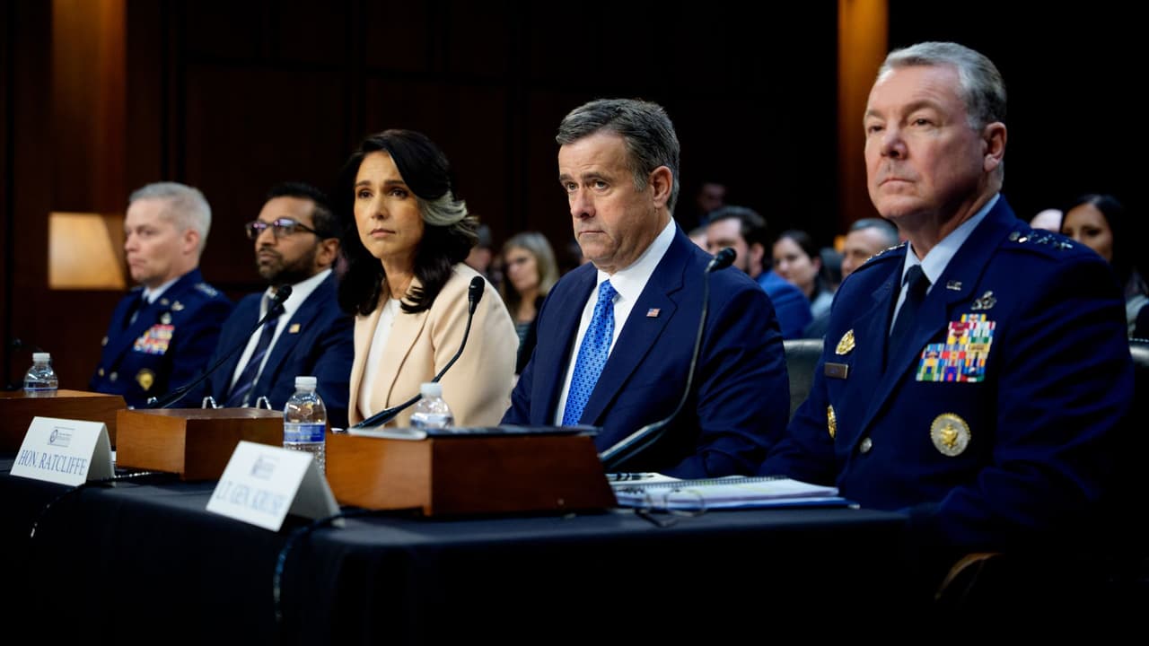 Escándalo por filtración en Signal: detalles de la audiencia en el Senado con funcionarios de Trump