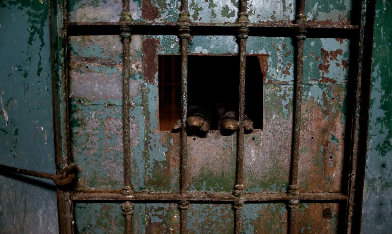 Los pies de un tapir se asoman en las antiguas instalaciones del zoo.